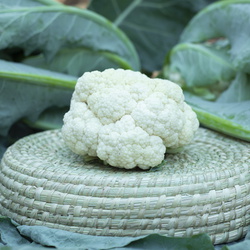 Cauliflower