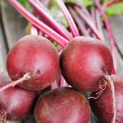 Beetroot